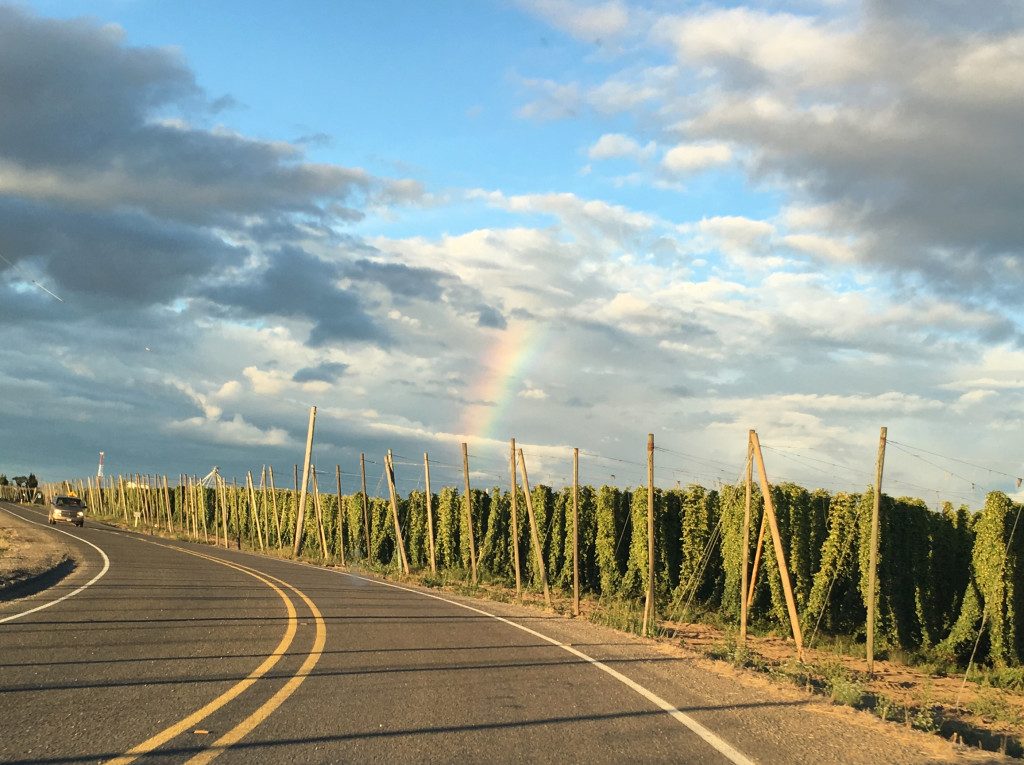 Rainbow Hops